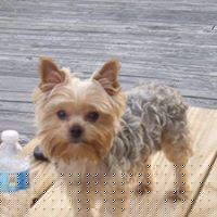 Debra Grissom Photo 16