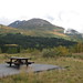 Gail Seward Photo 10