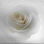 Cathy Gauthier Photo 36