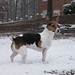 Mattie Russell Photo 9