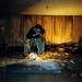 Jason Noble Photo 21