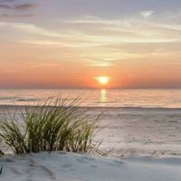 Connie Phillips Photo 45