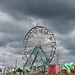 Virginia Farris Photo 9