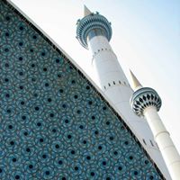 Mohammad Rashid Photo 38