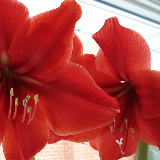 Mary Hawthorne Photo 36