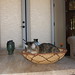 Lavern Foster Photo 5