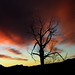 Dawn Stark Photo 21