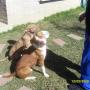 Frank Farias Photo 24
