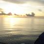 Terence Taylor Photo 28