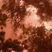 David Vanderbeek Photo 8