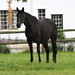 Lucy Young Photo 12