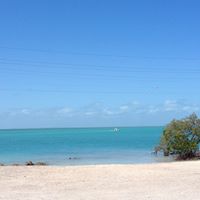 Sharon Colwell Photo 7