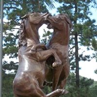 Darrell Tanner Photo 4