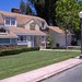 Susan Lane Photo 40