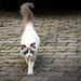 Louise Burt Photo 11