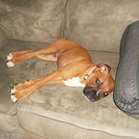 Nellie Johnson Photo 13