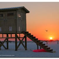 Tommy Simms Photo 8