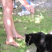 Holly Miller Photo 15