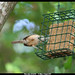 Carol Haggerty Photo 18