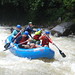 Susan Mcneely Photo 13