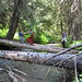 Stacy Cross Photo 37