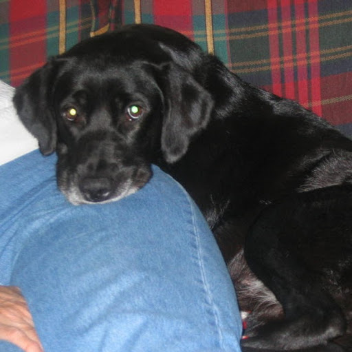 Peggy Greene Photo 29