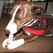 Betty Grogan Photo 6