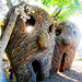 Mark Dougherty Photo 31