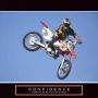 Steven Shell Photo 20