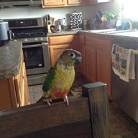Mary Esser Photo 29