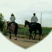 Sherry Jarvis Photo 17