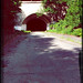 Ray Mccarthy Photo 30