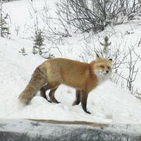Warren Snider Photo 13