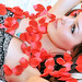 Paula Combs Photo 26