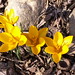 Nancy Kent Photo 14