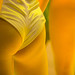 Don Click Photo 12