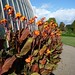 Heather Robson Photo 14