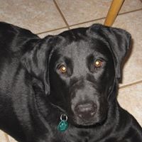 Jerry Winters Photo 25