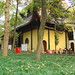 Carol Craig Photo 41
