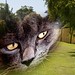 Alice Anthony Photo 10