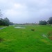 Russell Flood Photo 10