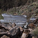 Joseph Doty Photo 14