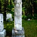 Joseph Root Photo 7