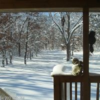 Catherine Peterson Photo 34