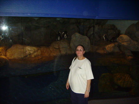 Tracie Henderson Photo 7