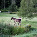 Amy Neighbors Photo 11