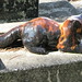 Patricia Edward Photo 11