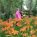 Pamela Fields Photo 23