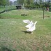 Patrick Schmitt Photo 15