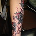 Rose Tuttle Photo 11